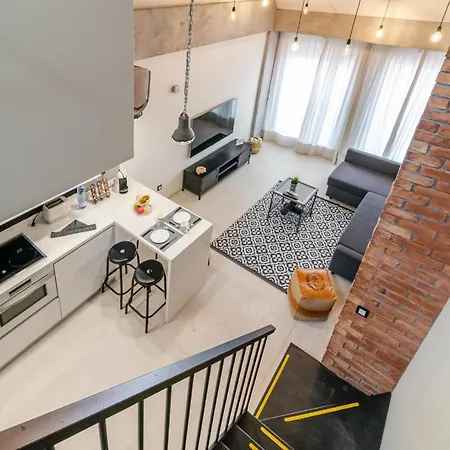 Apartment Flatguest Industrial Loft By Marina - Wifi